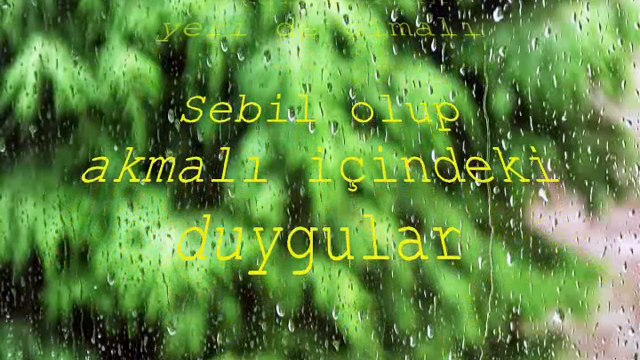 ŞİİR: BANA GELEN ARMAĞAN (BOJİDAR ÇİPOF)