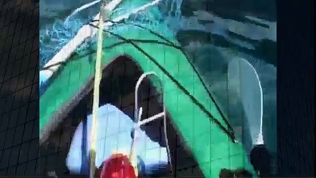 Sea Lion Attacks Kayaker Best Wild Animal Videos Animal Attacks And Loves when animals attack