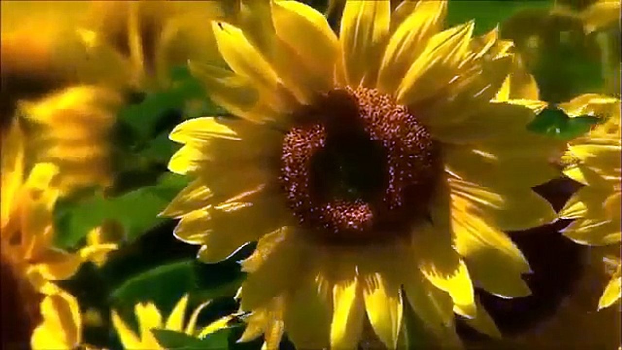 Beautiful Heart Touching Recitation