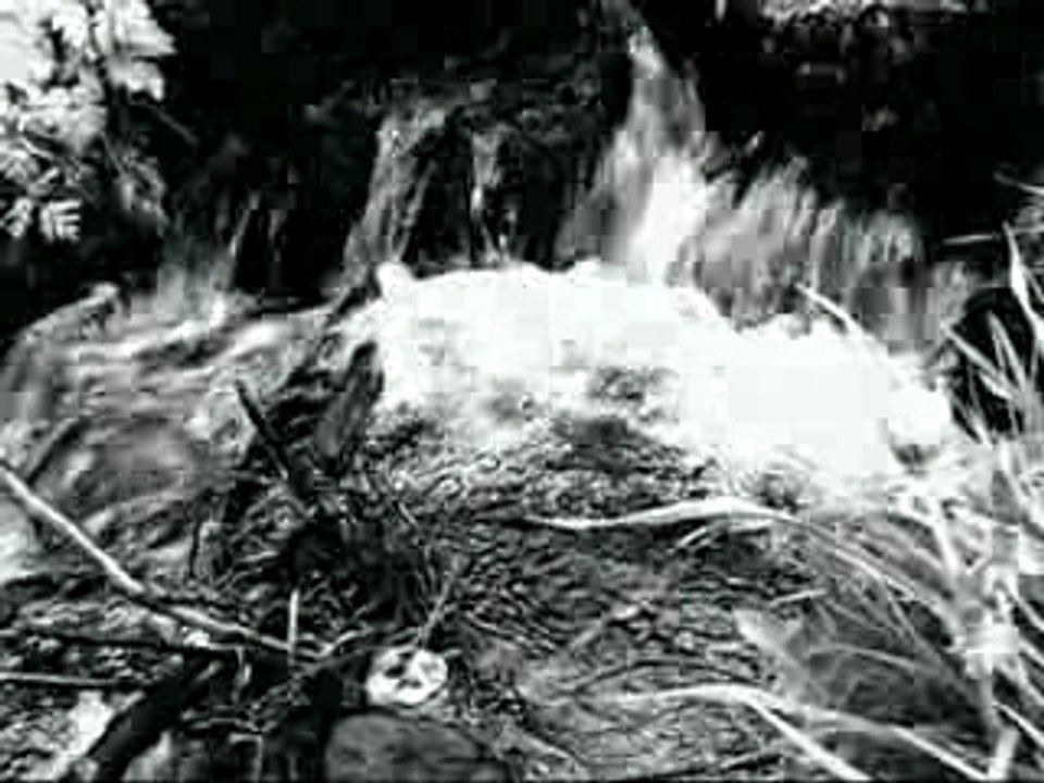 Le voyage intérieur