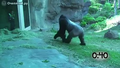 Funny Reaction of Children......................................................if there is no glass then what happened.