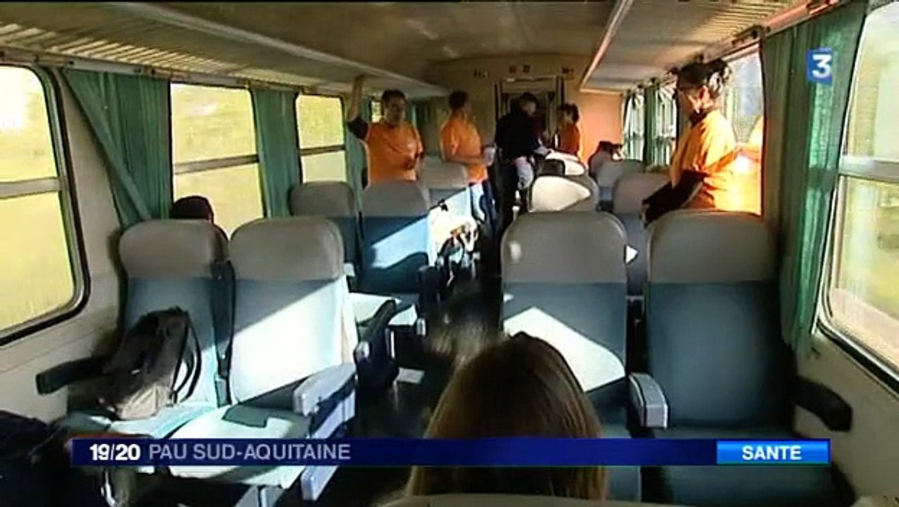 Train_AVC_a_Pau