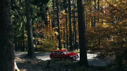RS 6 Avant performance und RS 7 Sportback performance