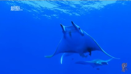 Чудеса голубой планеты .  "Европа"  4 - Серия