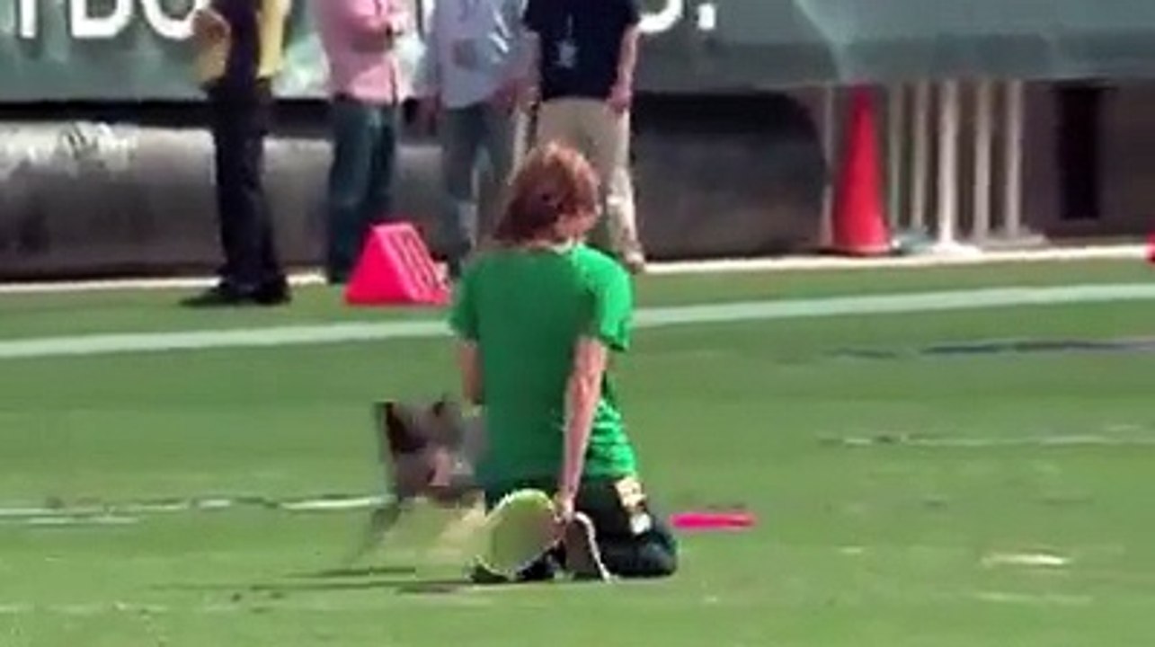 Wow - What A Trained Dog - hdhut.blogspot.com