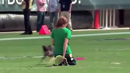 Wow - What A Trained Dog - hdhut.blogspot.com