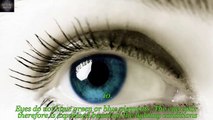 10 Amazing Eye Color Facts You Probably Didn’t Know