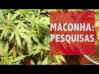 "Maconha cura, mas pode trazer riscos também"