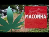 Dia Nacional pela Legalização da Maconha