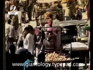 Unknown Giant Monster found after tsunami