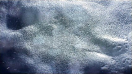 Temple Run 2 Frozen Shadows