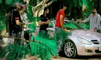 Sarthi K - Chandigarh - Chandigarh Fever - HD