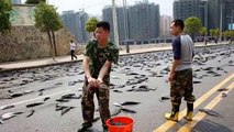 Fish rain in Thailand