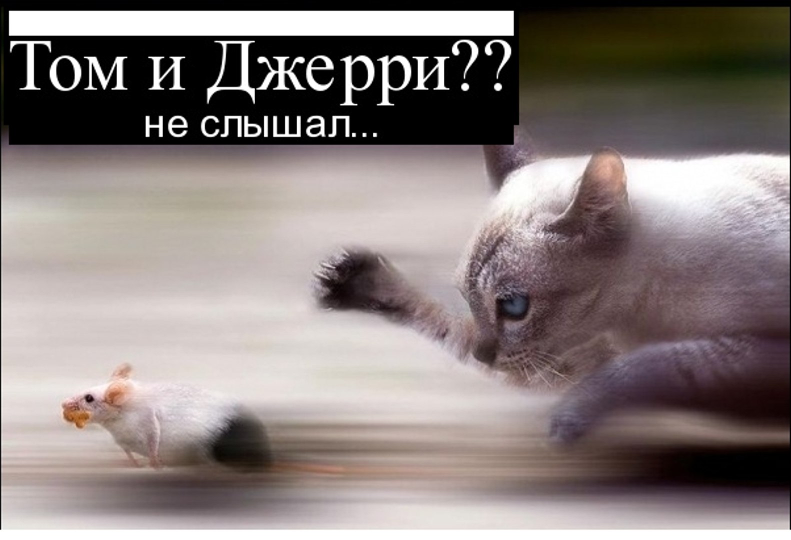⁣Том и Джерри | По русски | Только Лучшее | New Version