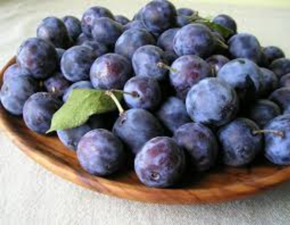 فوائد البرقوق لمنع تساقط الشعر وعلاج الشعر التالف وعلاج قشرة الراس