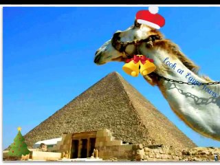 How To Choose The Best Tour Packages In Egypt For Egypt Tour