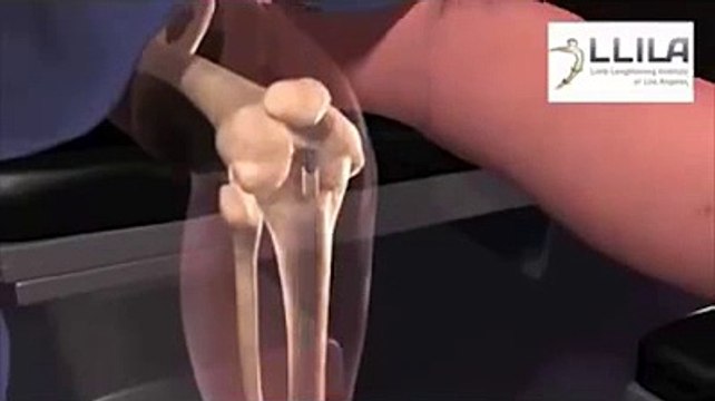 The best way to cheer yourself is to try to cheer someone else up - Genius Vines