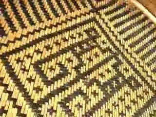 Intro-museo-ciencias