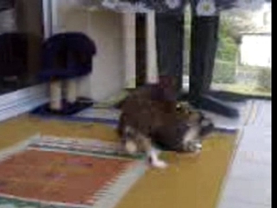 boubouille et son scoubidou