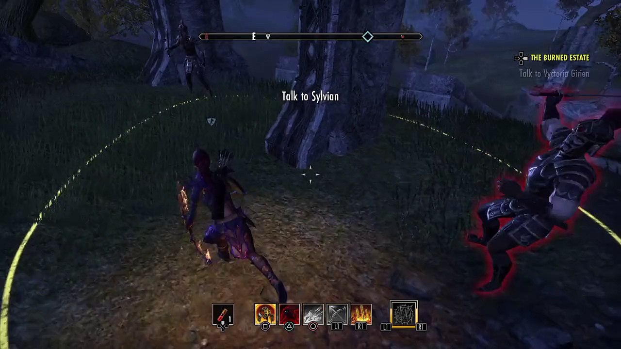 The Elder Scrolls Online: cheap shot