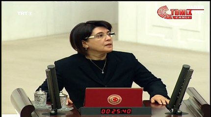 Yemin töreninde Kürtçe krizi!