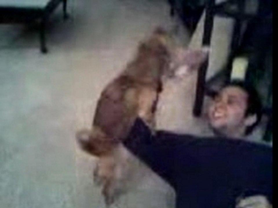 Mel's dog humps Neil's arm