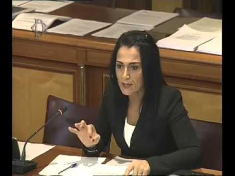 Roma - Audizione informale dei competenti Direttori di Enac (17.11.15)