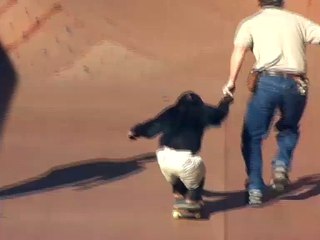 Ce singe skate mieux que vous
