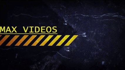 Please Do Not Disturb Cat When It's Updating To The Latest Firmware