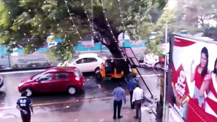 Chennai Rains: Dramatic Footage Of A Tree Falling On A Car