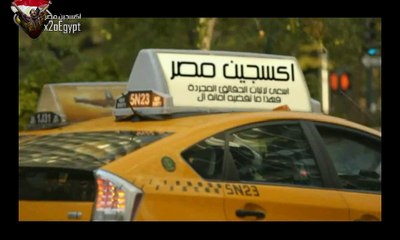 شاهد قط يرضع من كلبة بطريقة عنيفة بحى بولاق الدكرور