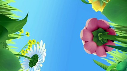 Лунтик и его друзья - Очки