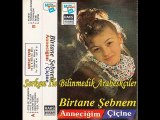 Birtane Şebnem - Ayrılığı Yenemedim