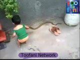 toofani network.vep  خطرناک کھیل