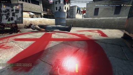 The Colour Puce - Copycat Gun Challenge