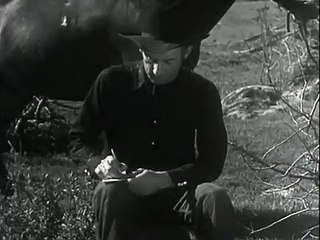 The Silver Trail (1937) B Western with Rin Tin Tin Jr.