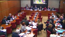 Intervention en Commission à l'Assemblée nationale lors de l'audition de Mathieu Gallet, PDG de Radio France