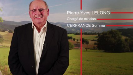 La pomme de terre de consommation : un début de campagne 2015 prometteur par Pierre-Yves Lelong