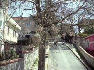 Bir Çocuk Sevdim 30.Bölüm HD