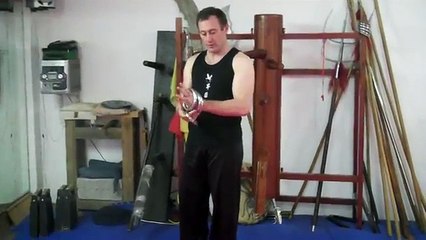 Entrenamiento de Hung Gar Kung Fu
