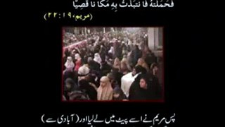 Waqia Karbala - Ya Hussain (A.S) - Shaykh ul Islam Dr. Tahir ul Qadri - reply for Zakir Naik (10) - Video Dailymotion