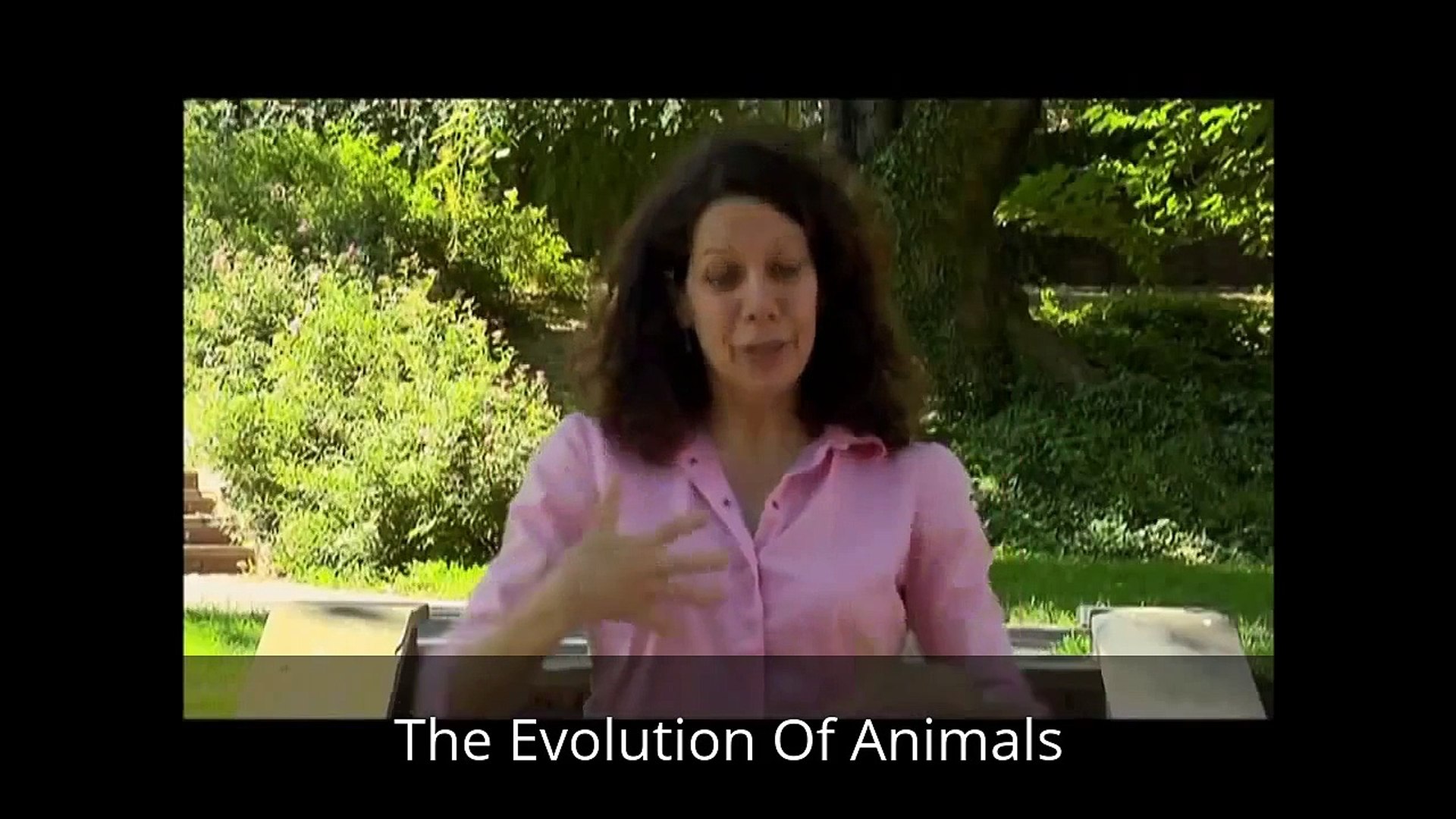⁣The Evolution of Animals, Animal Documentary, Animal documentary Videos