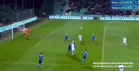 0-1 Alfred Finnbogason Goal - Slovakia v. Iceland 17.11.2015 HD