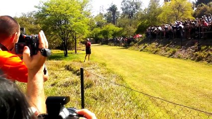 Cheetah Running on High Speed - Worlds Fastest Animal