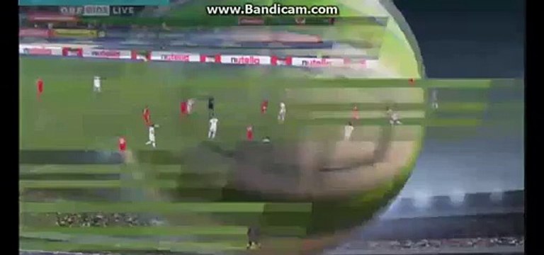 David Alaba Amazing goal Austria 1 - 1 Switzerland - Friendly 17-11-2015