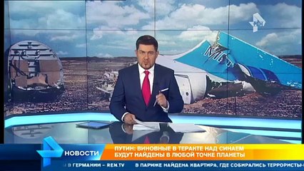 Российские спецслужбы приступили к поиску виновных в теракте на А 321