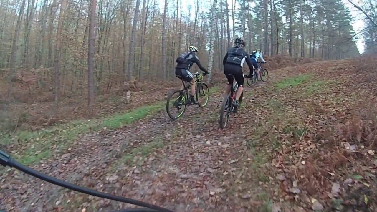 Forêt de Chinon 59km en vtt