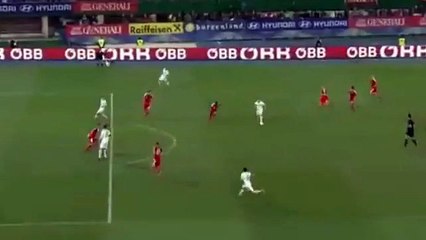 Haris Seferovic second incredible Goal - Austria 1 - 2 Switzerland - Friendly Match 2015