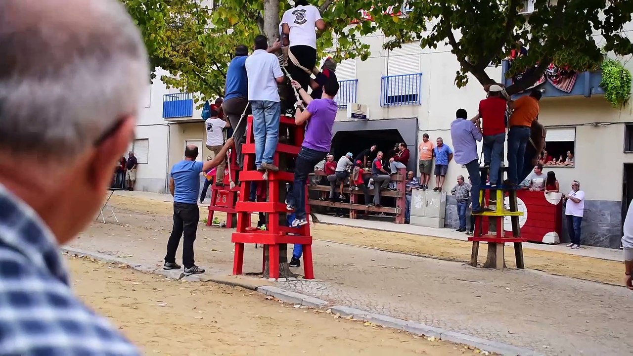 Touros na Moita do Ribatejo 2015