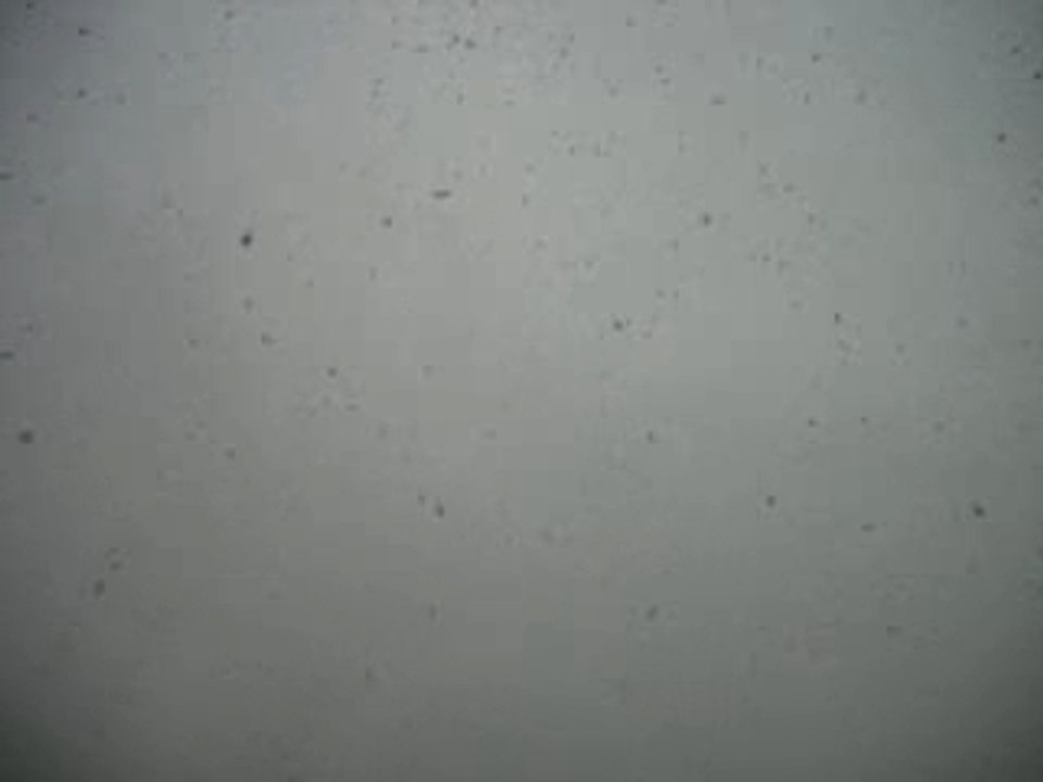 Bruit de neige